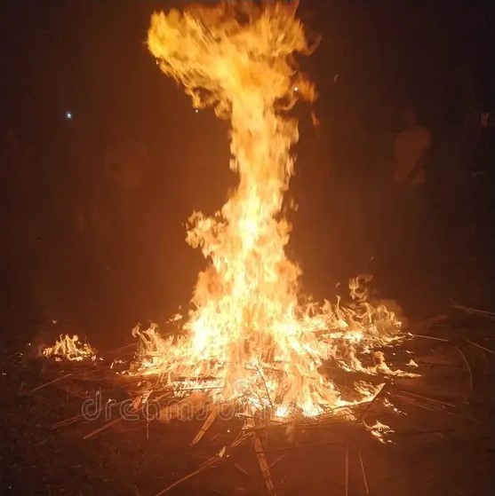 Ukka Paati